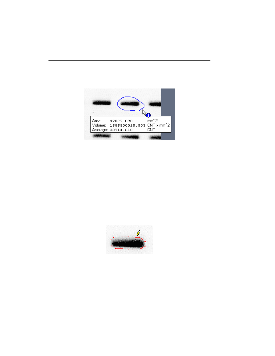 Bio-Rad Quantity One 1-D Analysis Software User Manual | Page 141 / 444