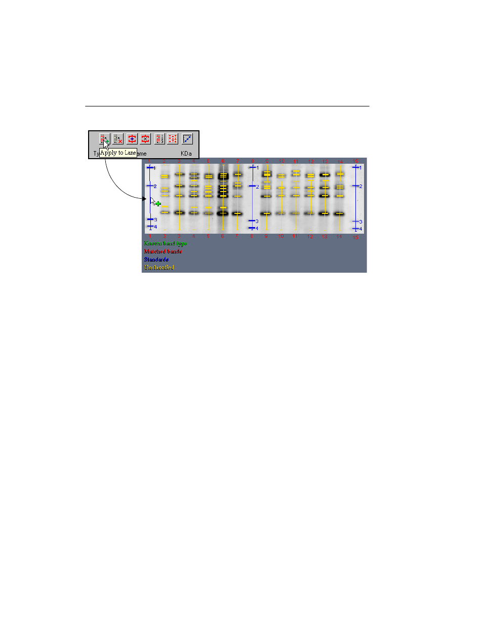 Bio-Rad Quantity One 1-D Analysis Software User Manual | Page 151 / 444