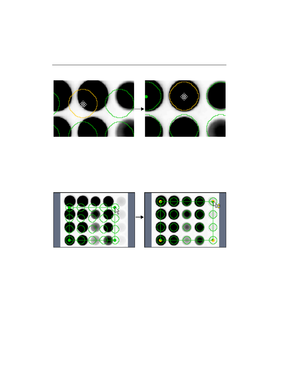 Bio-Rad Quantity One 1-D Analysis Software User Manual | Page 189 / 444