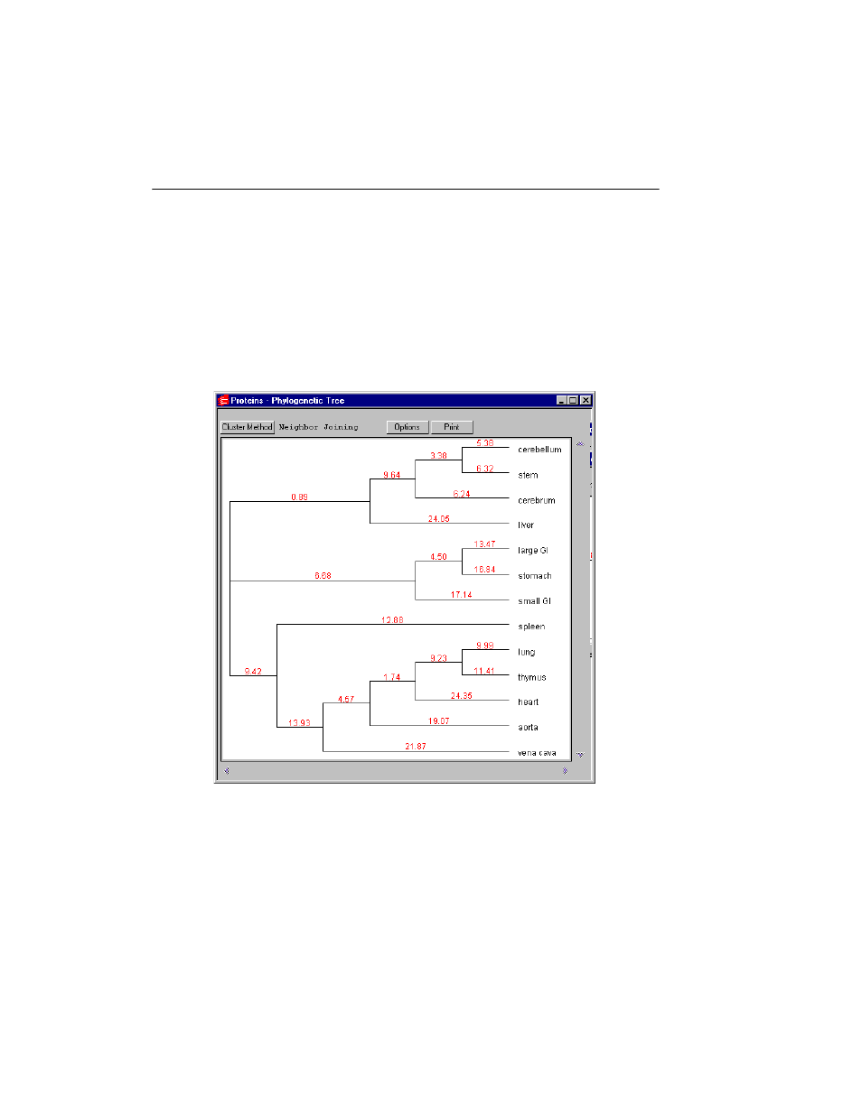 B phylogenetic tree | Bio-Rad Quantity One 1-D Analysis Software User Manual | Page 223 / 444