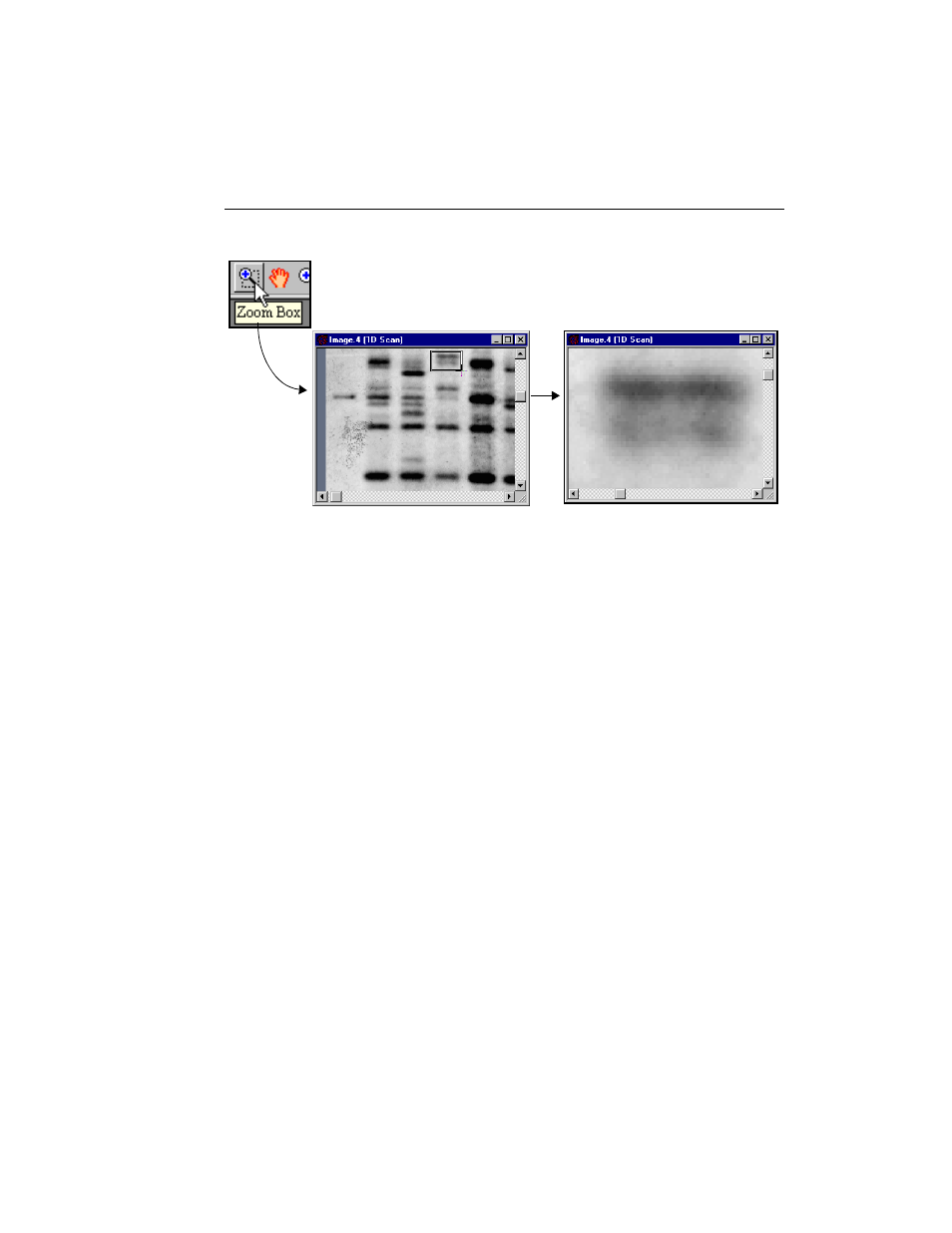 Bio-Rad Quantity One 1-D Analysis Software User Manual | Page 54 / 444