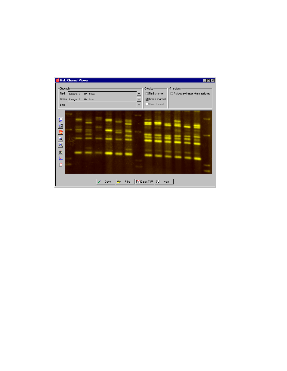 Bio-Rad Quantity One 1-D Analysis Software User Manual | Page 59 / 444