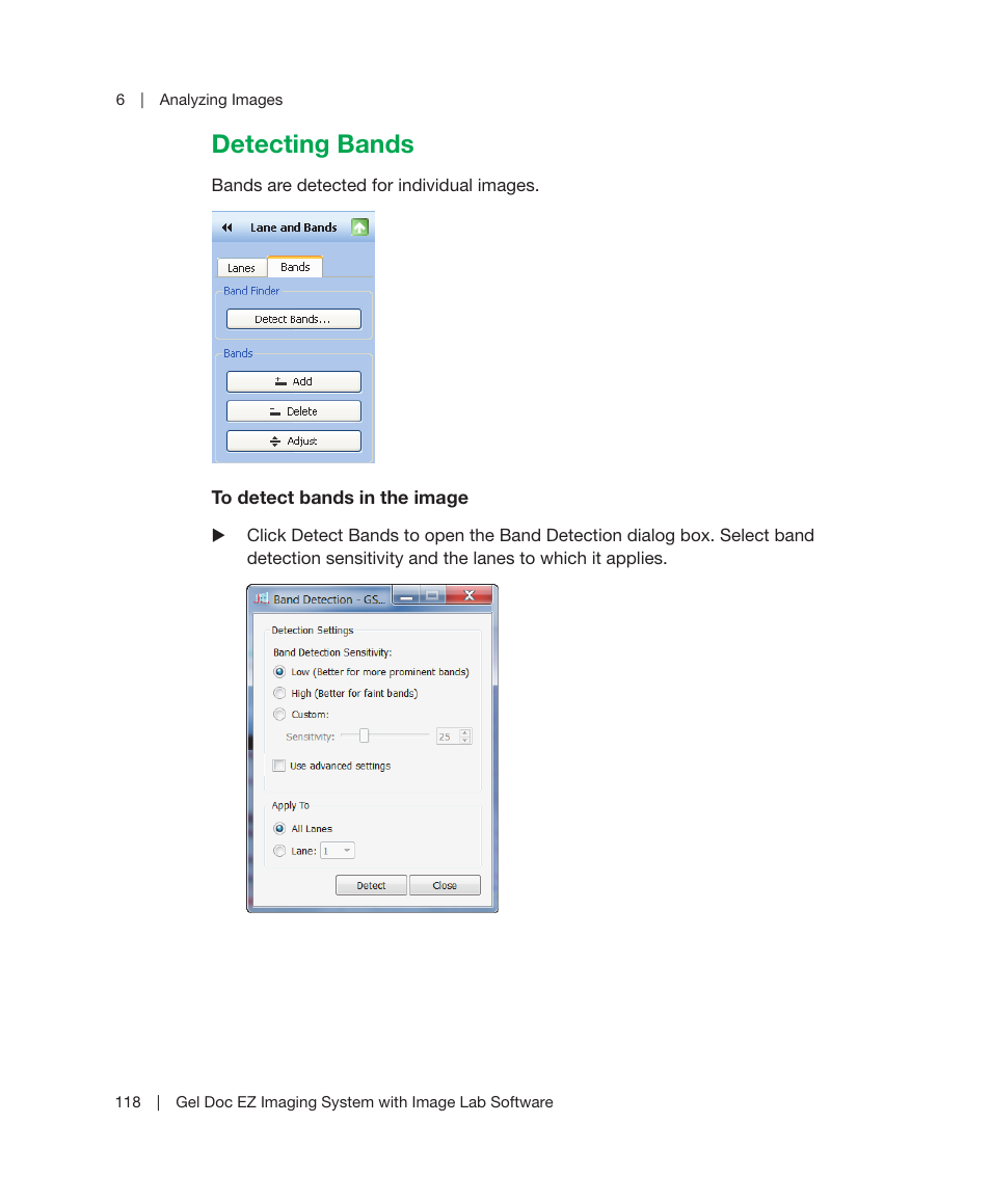 Detecting bands | Bio-Rad Image Lab™ Software User Manual | Page 118 / 212