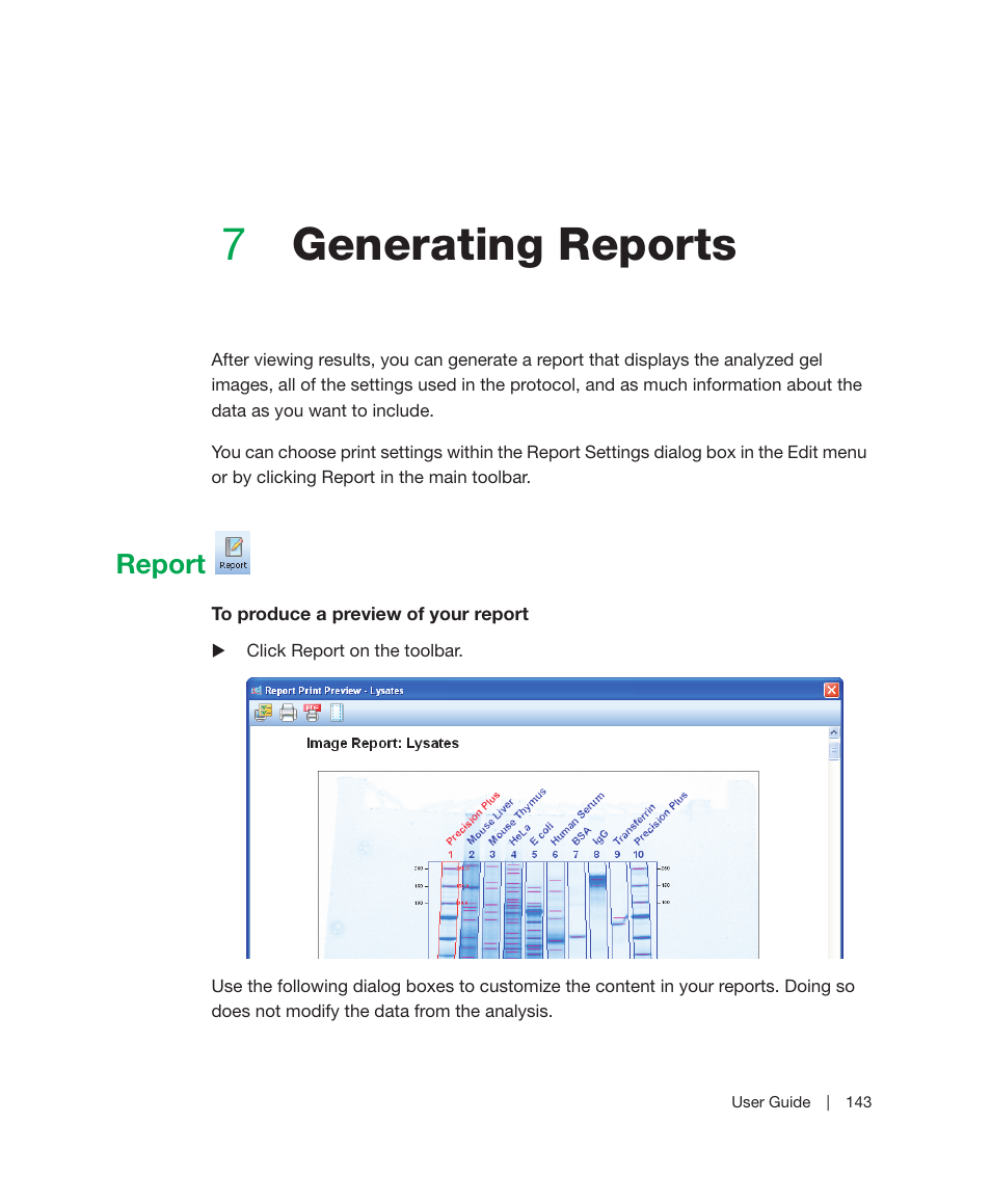 7 generating reports, Report, Chapter 7 | Generating reports, For information about r, 7generating reports | Bio-Rad Image Lab™ Software User Manual | Page 143 / 212