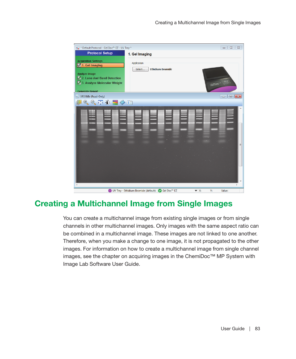 Creating a multichannel image from single images | Bio-Rad Image Lab™ Software User Manual | Page 83 / 212