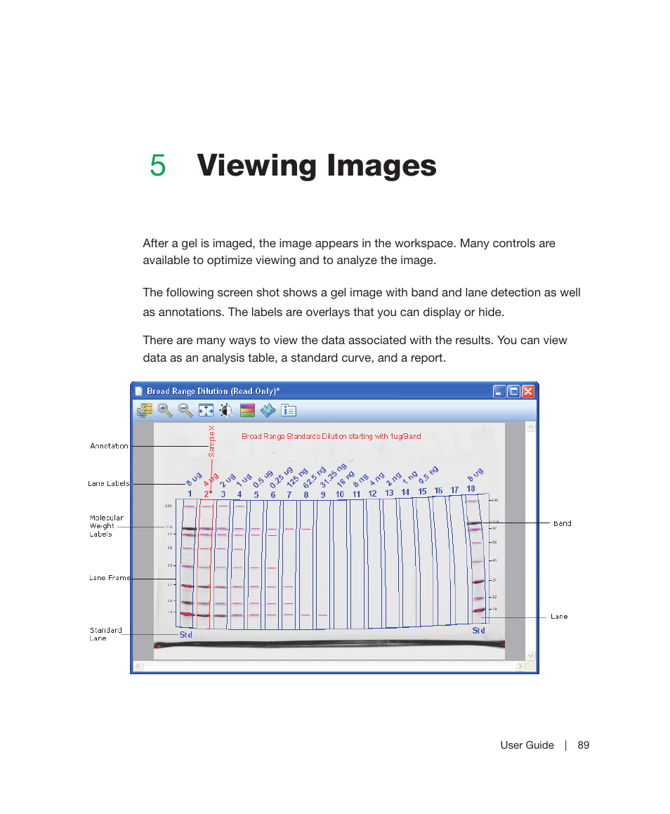 5 viewing images, Chapter 5, Viewing images | E described in, Most useful ways. see, Chapter 5, viewing images, 5viewing images | Bio-Rad Image Lab™ Software User Manual | Page 89 / 212