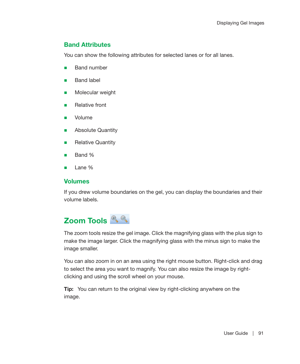 Zoom tools | Bio-Rad Image Lab™ Software User Manual | Page 91 / 212