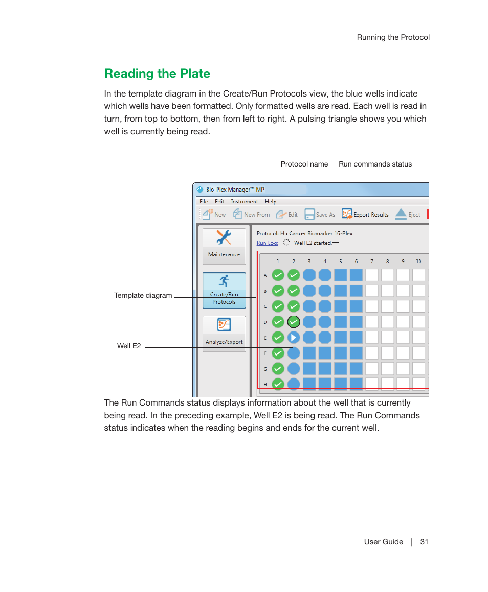Reading the plate | Bio-Rad Bio-Plex Manager™ MP Software Upgrade User Manual | Page 33 / 118