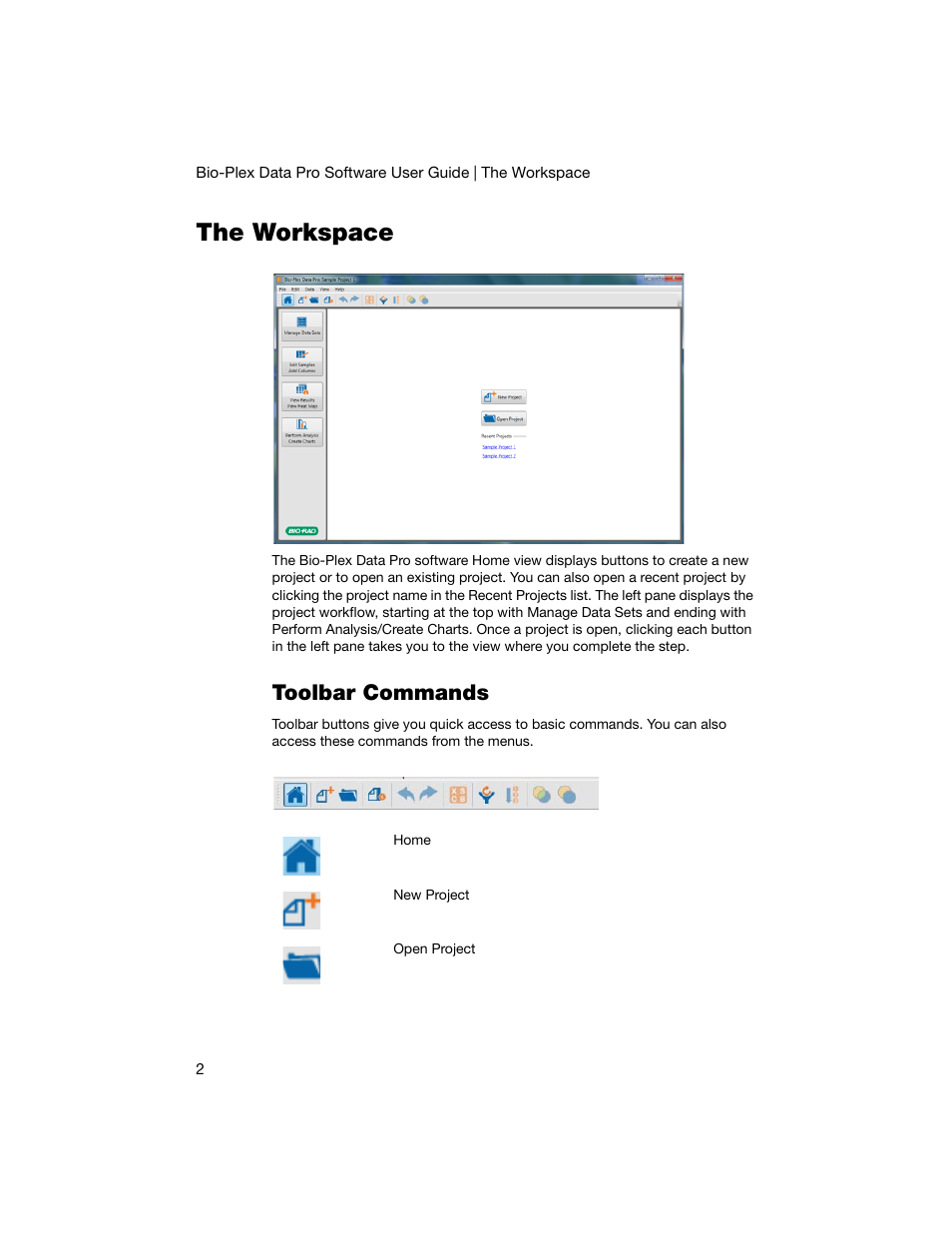 The workspace, Toolbar commands | Bio-Rad Bio-Plex Data Pro™ Software User Manual | Page 6 / 74