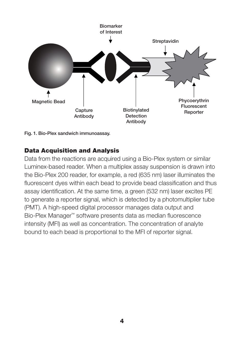 Bio-Rad Human Metabolic and Hormone Assays User Manual | Page 6 / 36