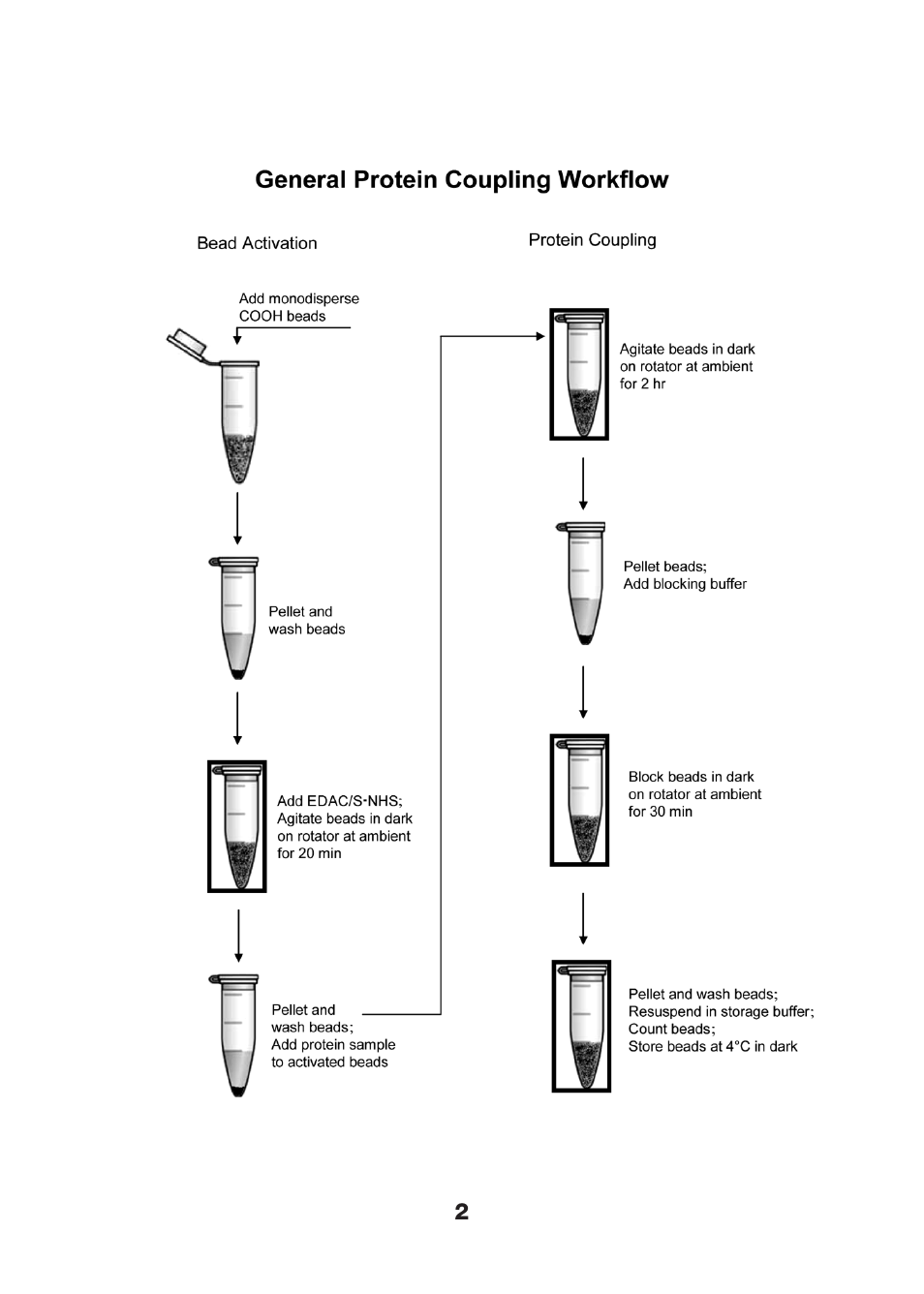 Bio-Rad Nonmagnetic Beads and Related Reagents User Manual | Page 4 / 37