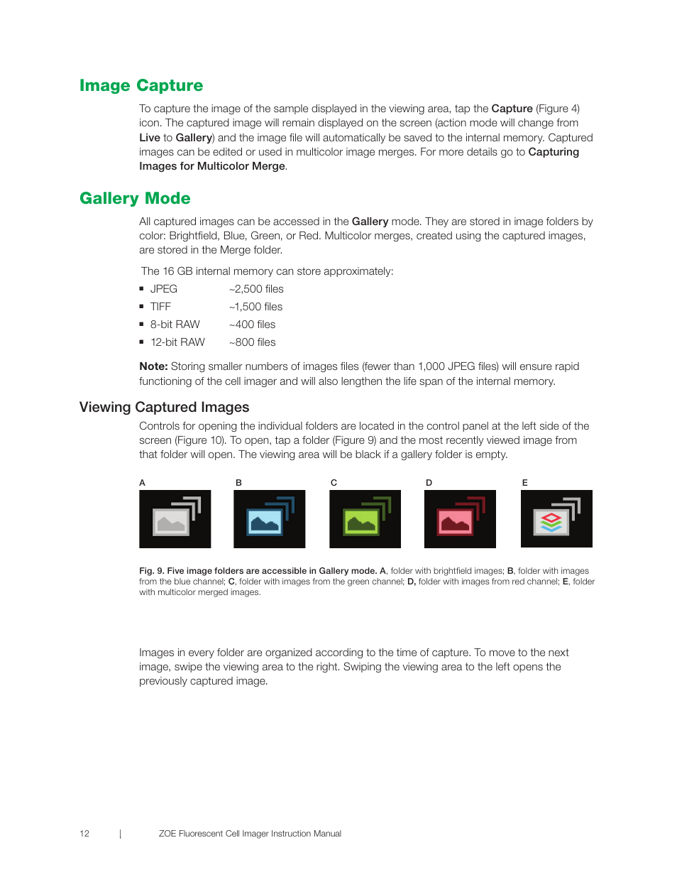Image capture, Gallery mode, Image capture gallery mode | Viewing captured images, Export | Bio-Rad ZOE™ Fluorescent Cell Imager User Manual | Page 20 / 36