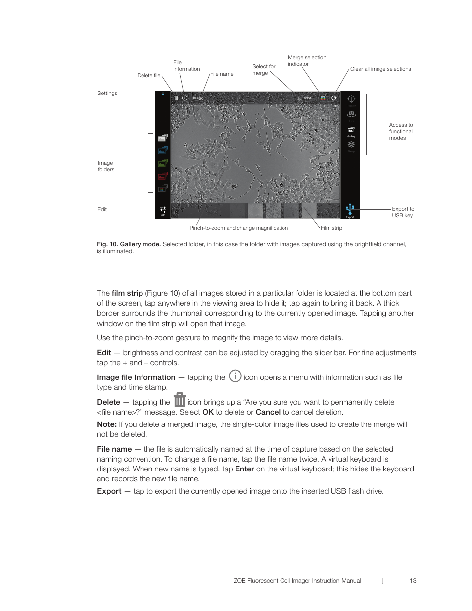 Bio-Rad ZOE™ Fluorescent Cell Imager User Manual | Page 21 / 36