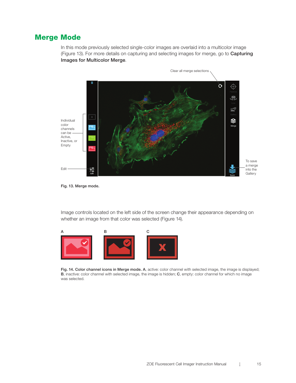 Merge mode | Bio-Rad ZOE™ Fluorescent Cell Imager User Manual | Page 23 / 36