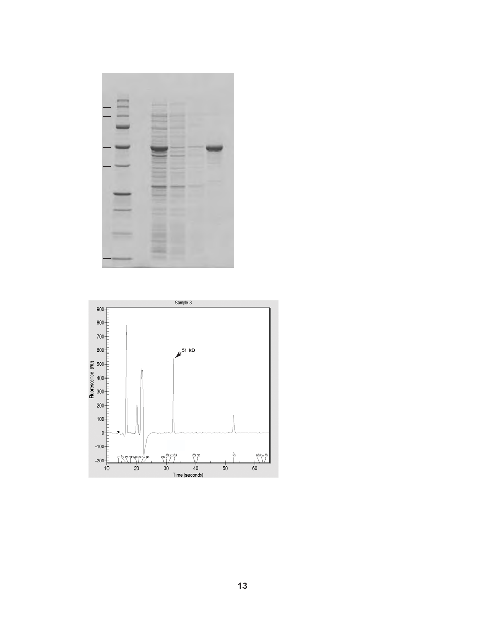 Bio-Rad Profinia™ Protein Purification Instrument User Manual | Page 20 / 224