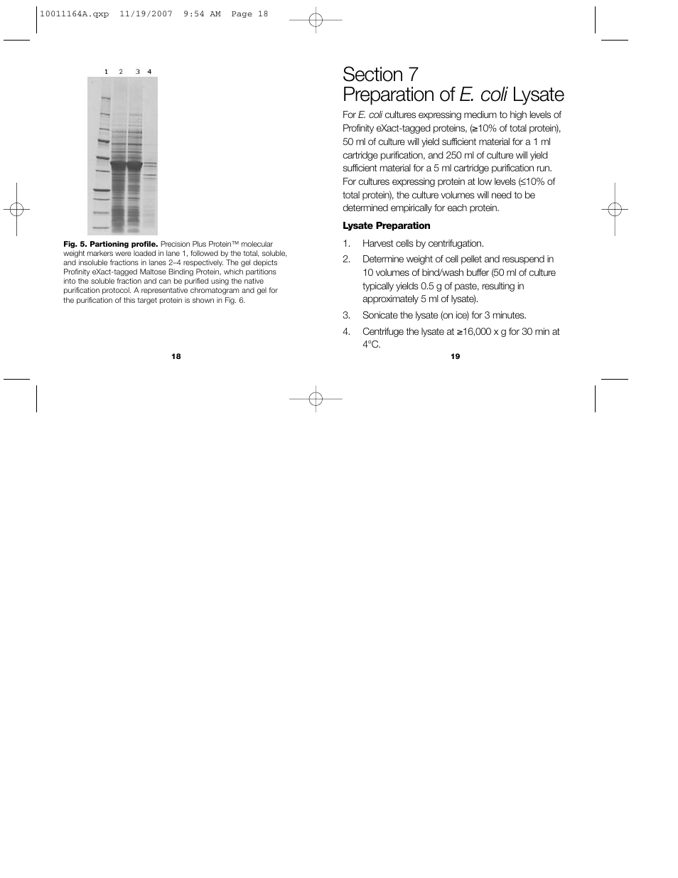 Bio-Rad Profinity eXact™ Purification and Tag Cleavage Consumables User Manual | Page 12 / 18