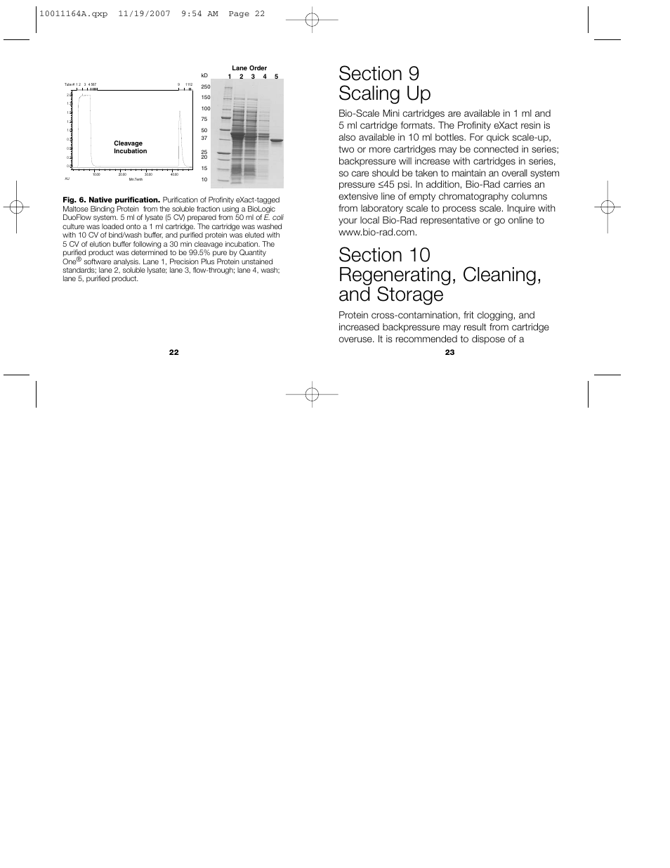 Bio-Rad Profinity eXact™ Purification and Tag Cleavage Consumables User Manual | Page 14 / 18