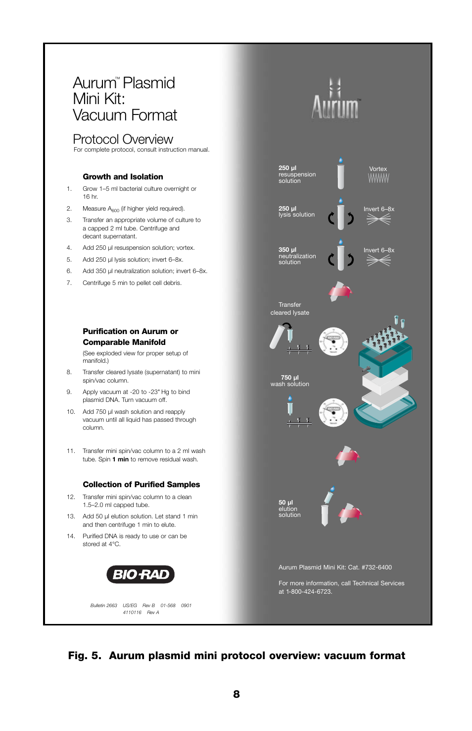 Aurum, Plasmid mini kit: vacuum format, Protocol overview | Bio-Rad Aurum™ Plasmid Mini Purification Module User Manual | Page 11 / 16