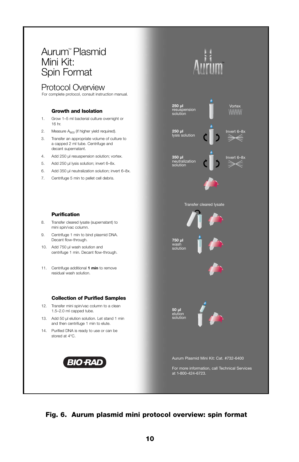 Aurum, Plasmid mini kit: spin format, Protocol overview | Bio-Rad Aurum™ Plasmid Mini Purification Module User Manual | Page 13 / 16