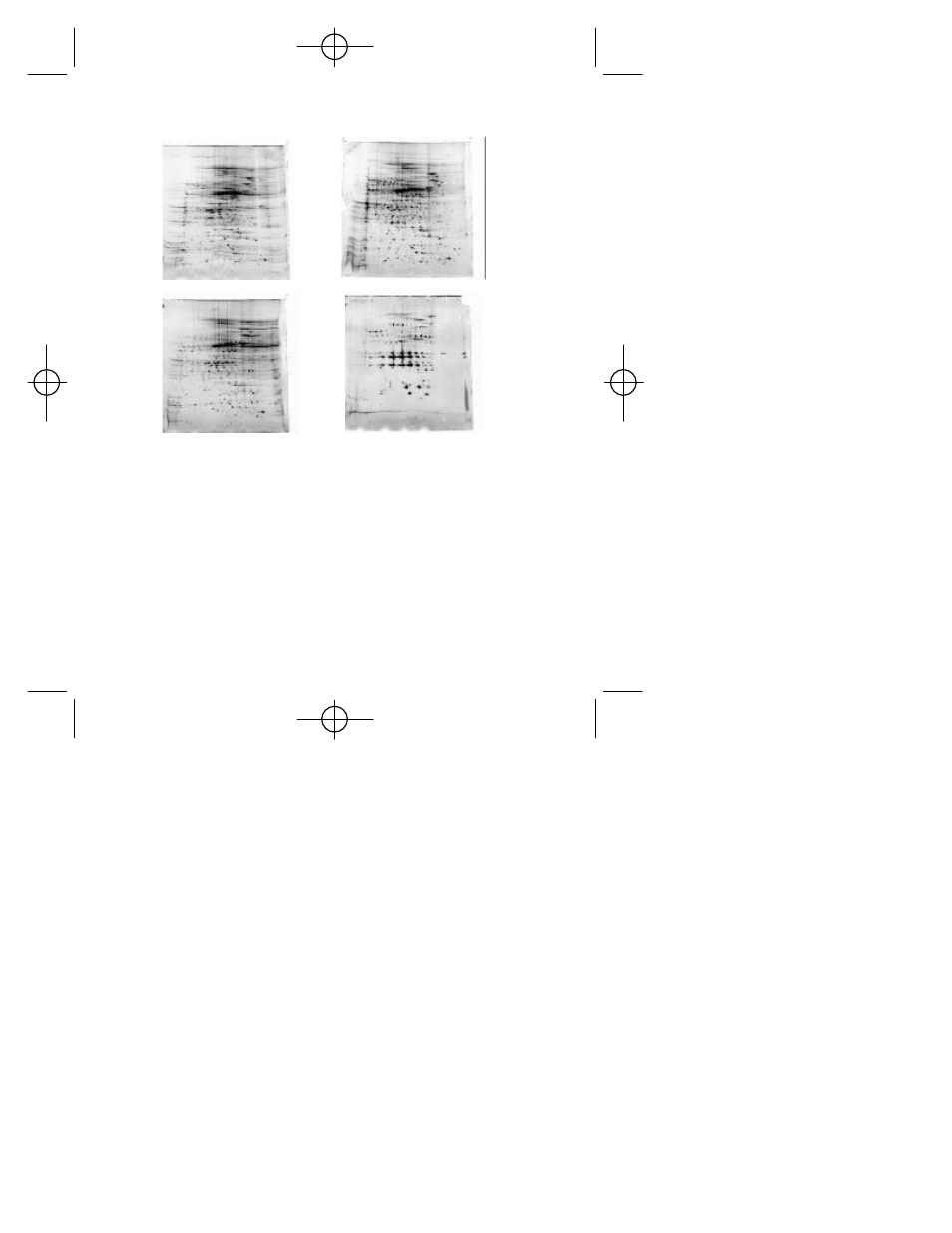 Bio-Rad ReadyPrep Sequential Extraction Kit User Manual | Page 13 / 19