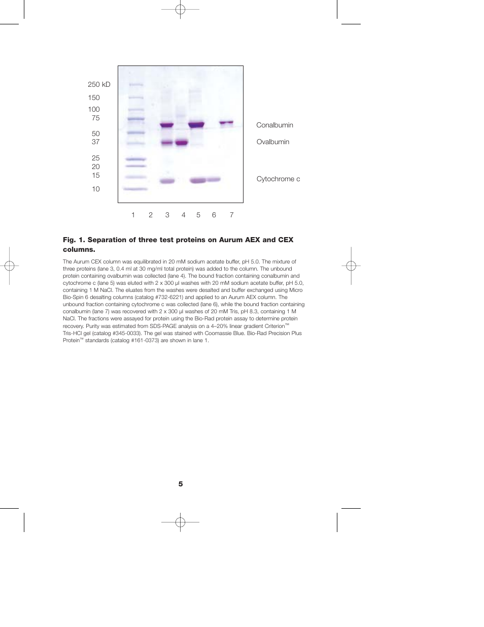 Bio-Rad Aurum Ion Exchange Mini Kits User Manual | Page 7 / 17