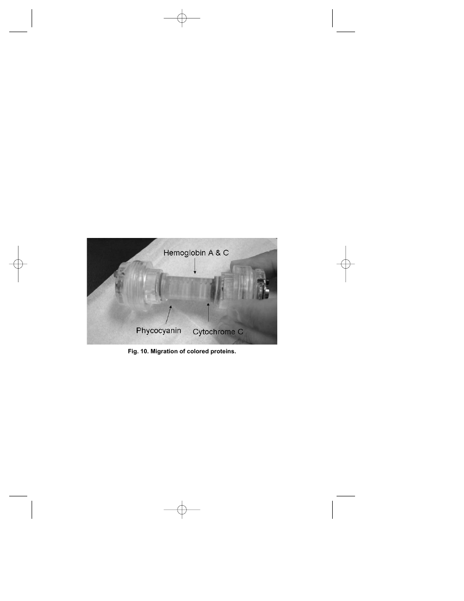 Bio-Rad MicroRotofor™ Cell User Manual | Page 10 / 17