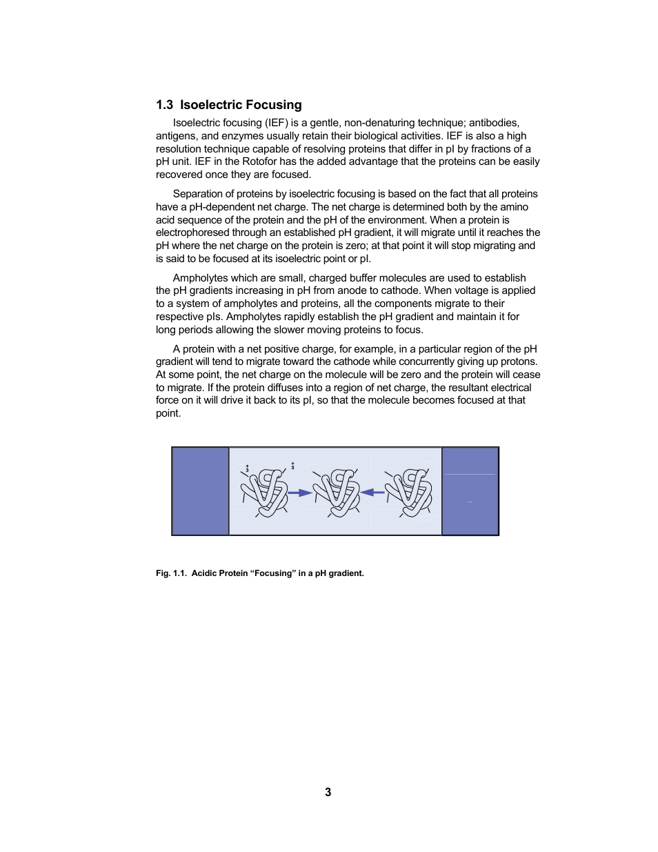 Anode, Cathode, 3 isoelectric focusing | Bio-Rad Rotofor® and Mini Rotofor Cells User Manual | Page 7 / 52