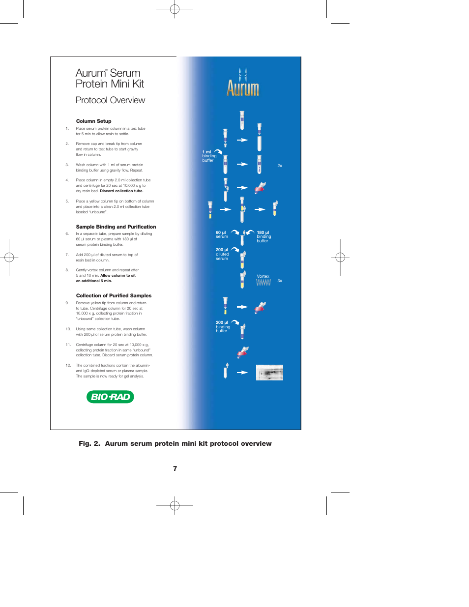 Aurum, Serum protein mini kit, Protocol overview | Bio-Rad Aurum Serum Protein Mini Kit User Manual | Page 9 / 13