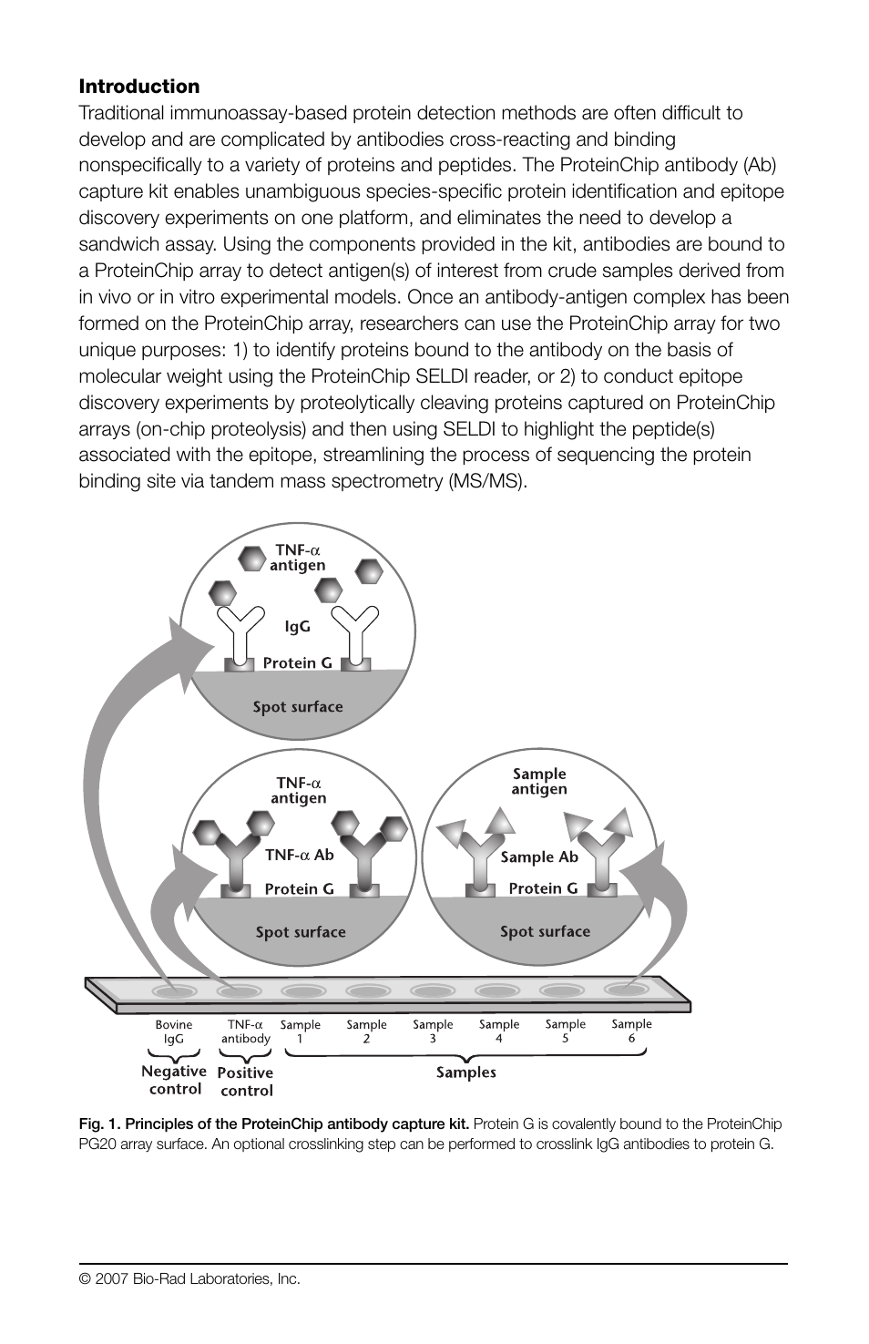 Bio-Rad ProteinChip Antibody Capture Kit User Manual | Page 2 / 12