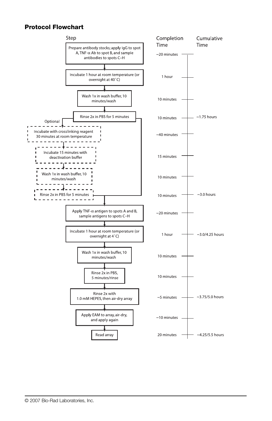Bio-Rad ProteinChip Antibody Capture Kit User Manual | Page 5 / 12