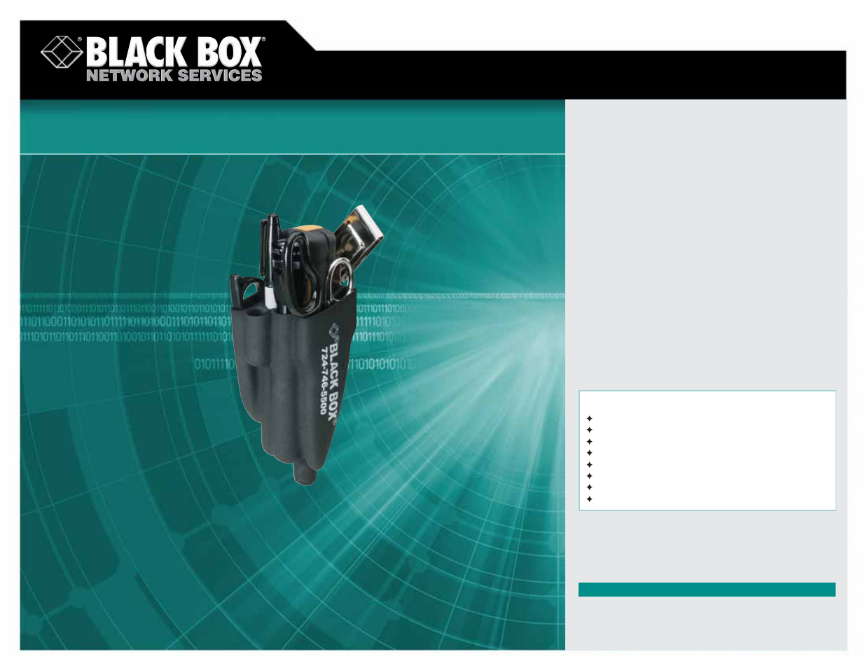 Black Box FT995A User Manual | 1 page
