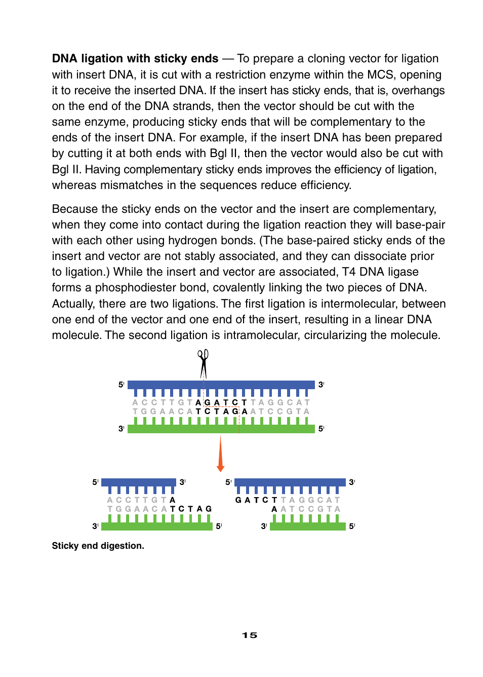 Bio-Rad Ligation and Transformation Module User Manual | Page 19 / 60