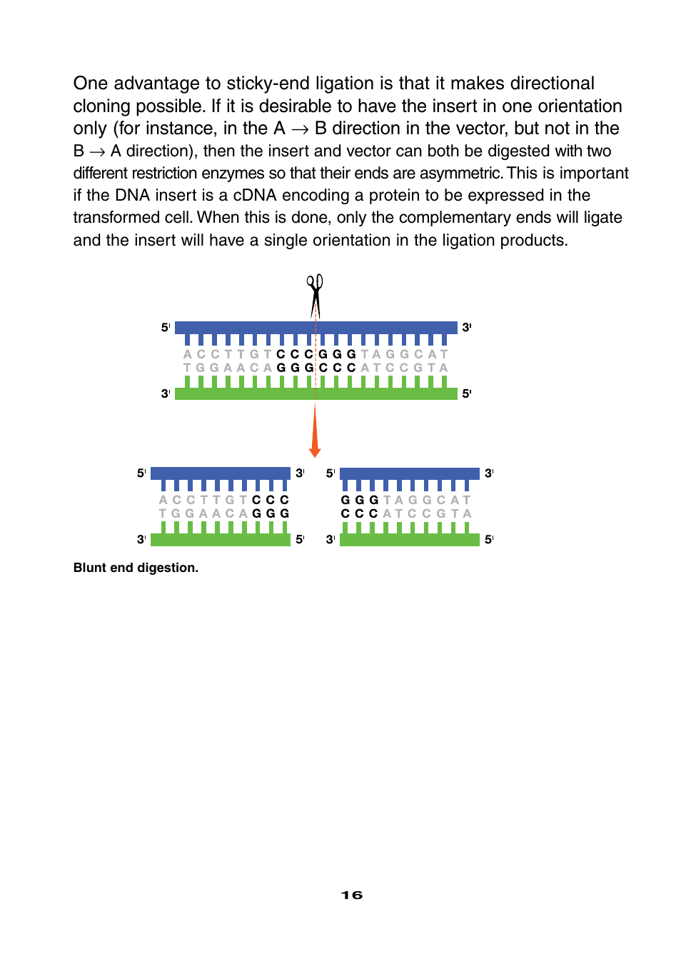 Bio-Rad Ligation and Transformation Module User Manual | Page 20 / 60