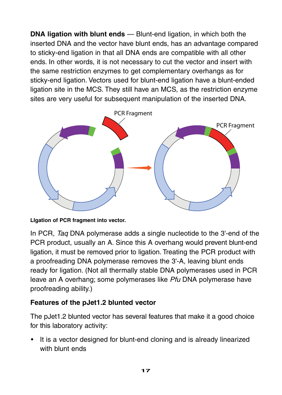 Bio-Rad Ligation and Transformation Module User Manual | Page 21 / 60