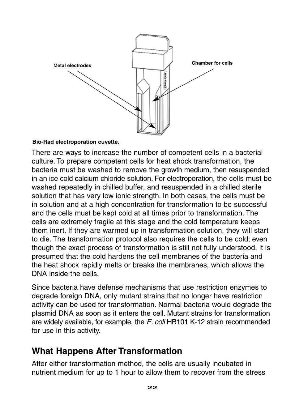 What happens after transformation | Bio-Rad Ligation and Transformation Module User Manual | Page 26 / 60