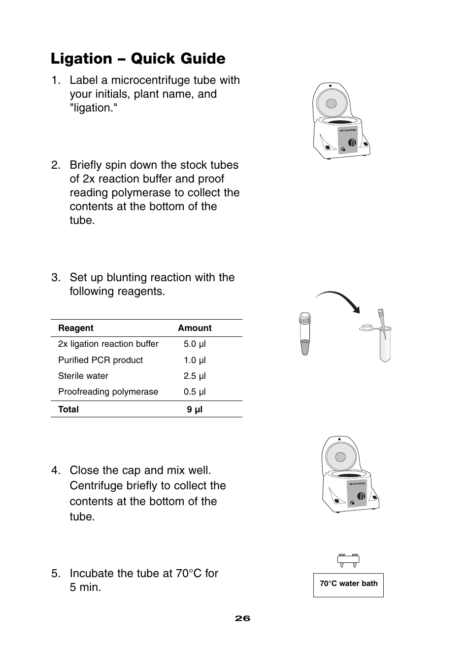 Ligation – quick guide | Bio-Rad Ligation and Transformation Module User Manual | Page 30 / 60