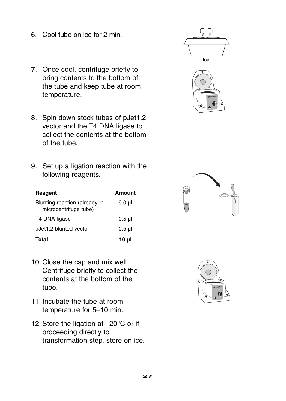 Bio-Rad Ligation and Transformation Module User Manual | Page 31 / 60