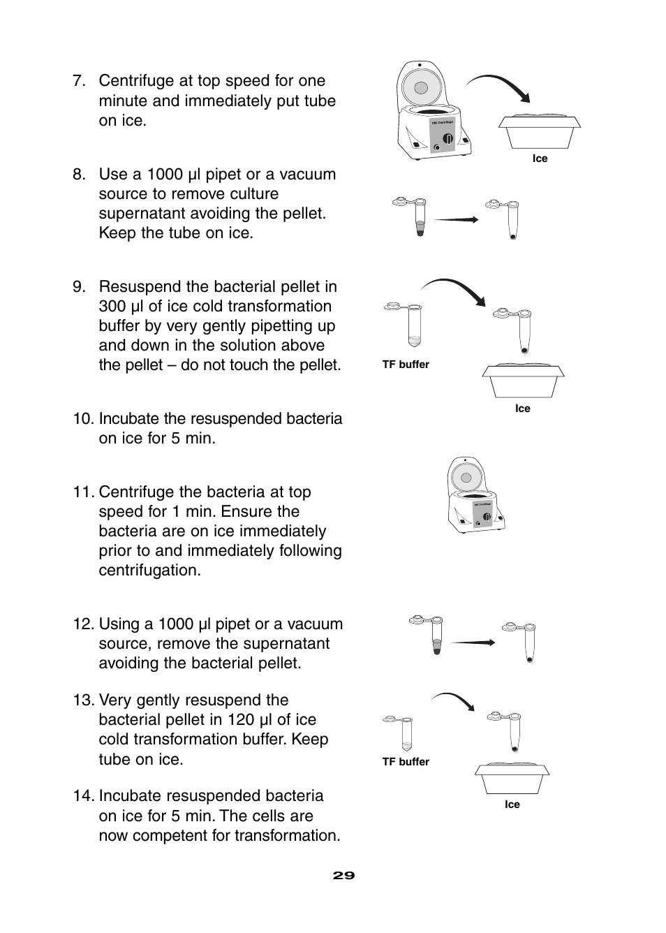 Bio-Rad Ligation and Transformation Module User Manual | Page 33 / 60