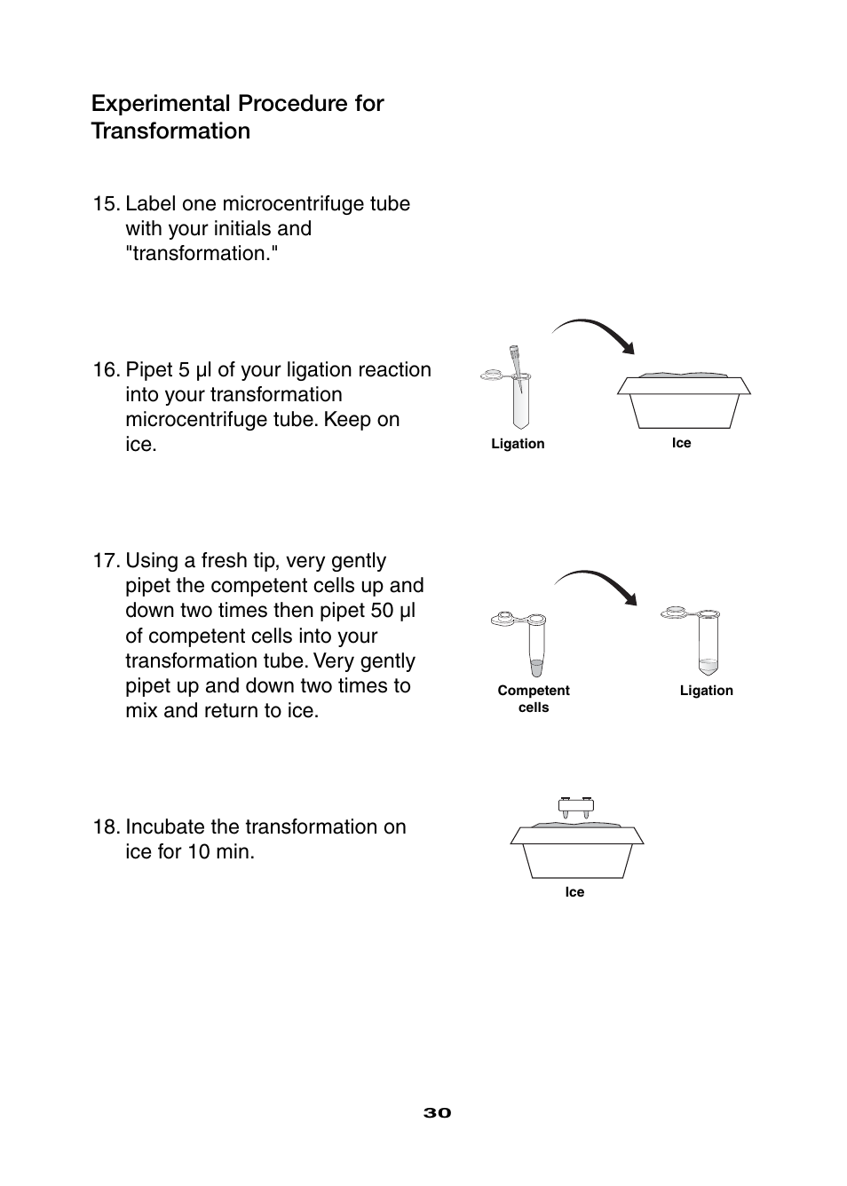 Experimental procedure for transformation | Bio-Rad Ligation and Transformation Module User Manual | Page 34 / 60