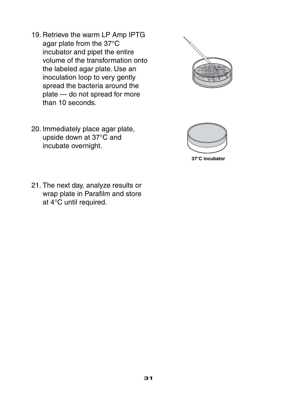 Bio-Rad Ligation and Transformation Module User Manual | Page 35 / 60