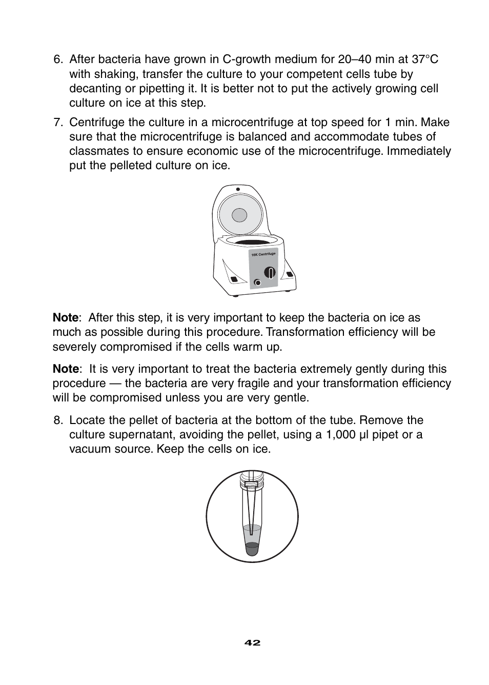 Bio-Rad Ligation and Transformation Module User Manual | Page 46 / 60