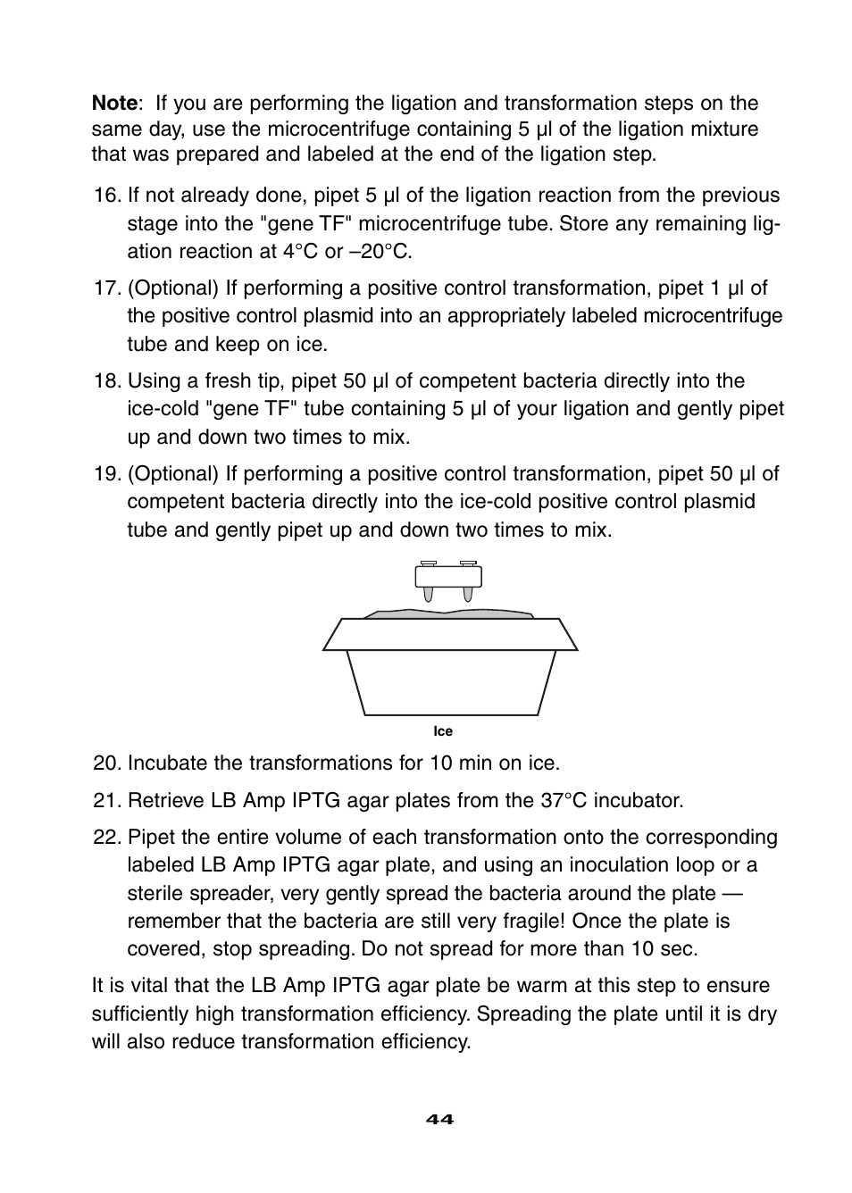 Bio-Rad Ligation and Transformation Module User Manual | Page 48 / 60