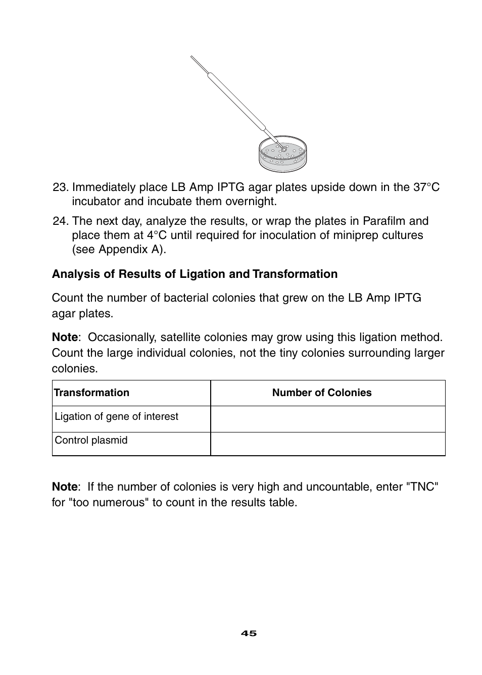 Bio-Rad Ligation and Transformation Module User Manual | Page 49 / 60