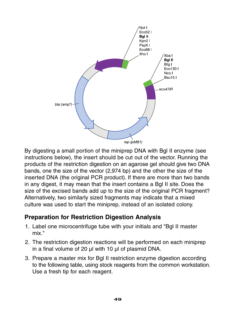 Bio-Rad Ligation and Transformation Module User Manual | Page 53 / 60