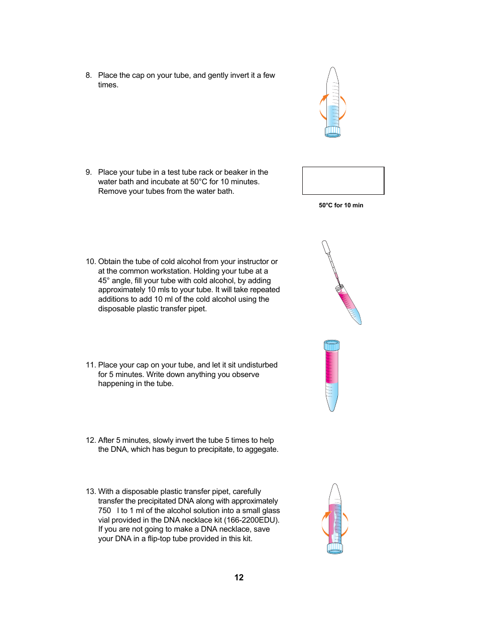 Bio-Rad Genes in a Bottle™ Kit User Manual | Page 2 / 3