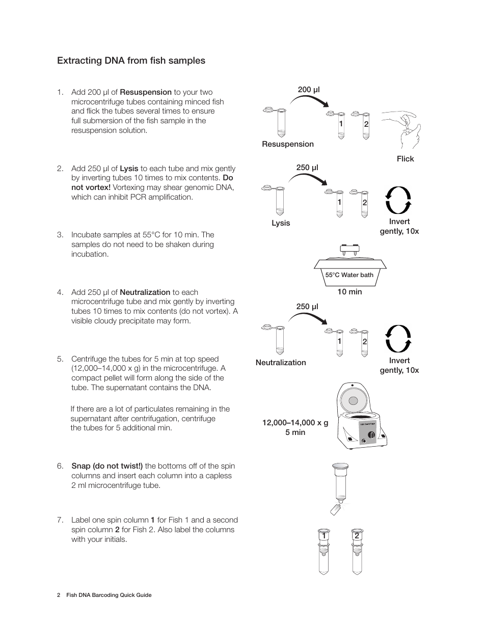 Bio-Rad Fish DNA Barcoding Kit User Manual | Page 4 / 12