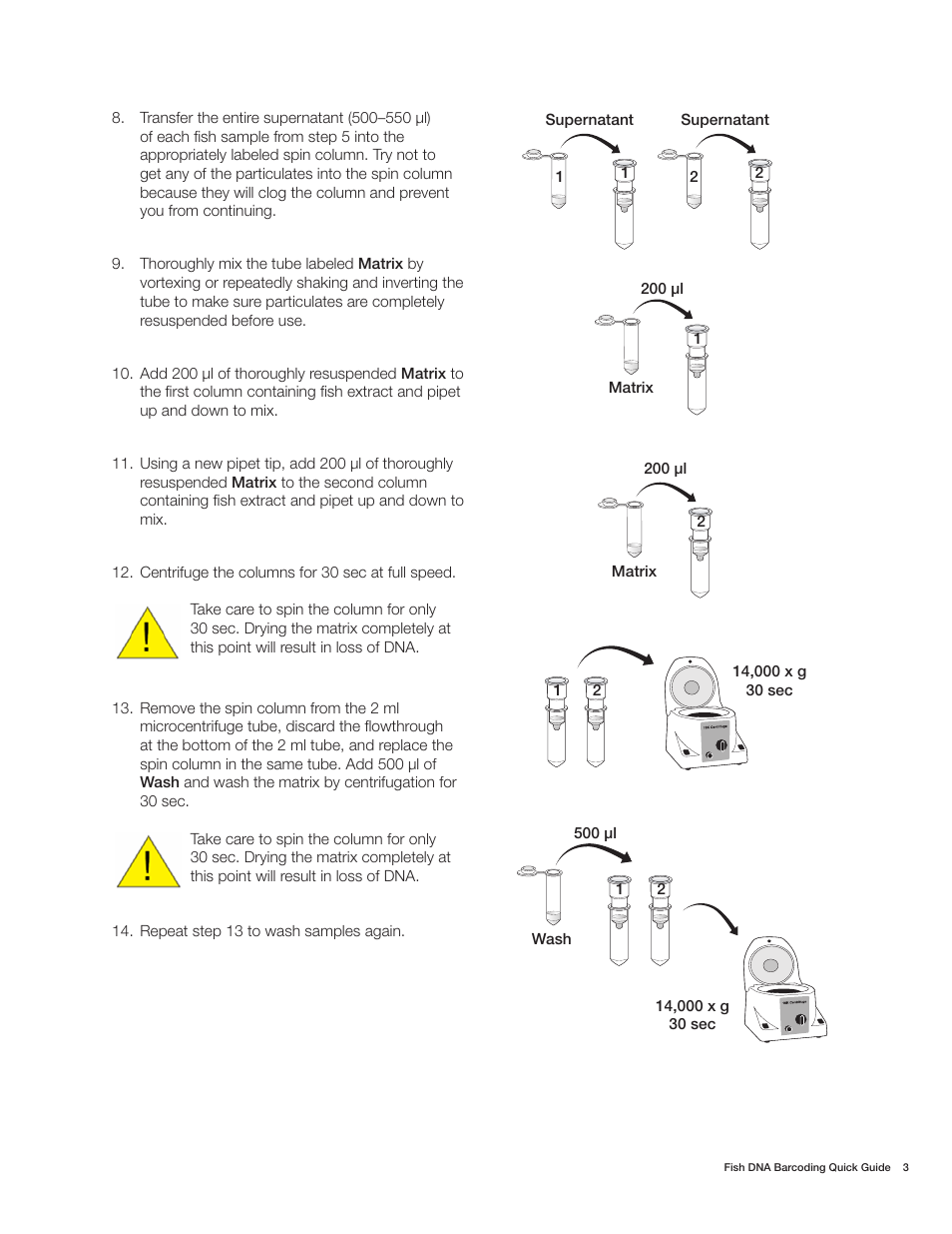 Bio-Rad Fish DNA Barcoding Kit User Manual | Page 5 / 12