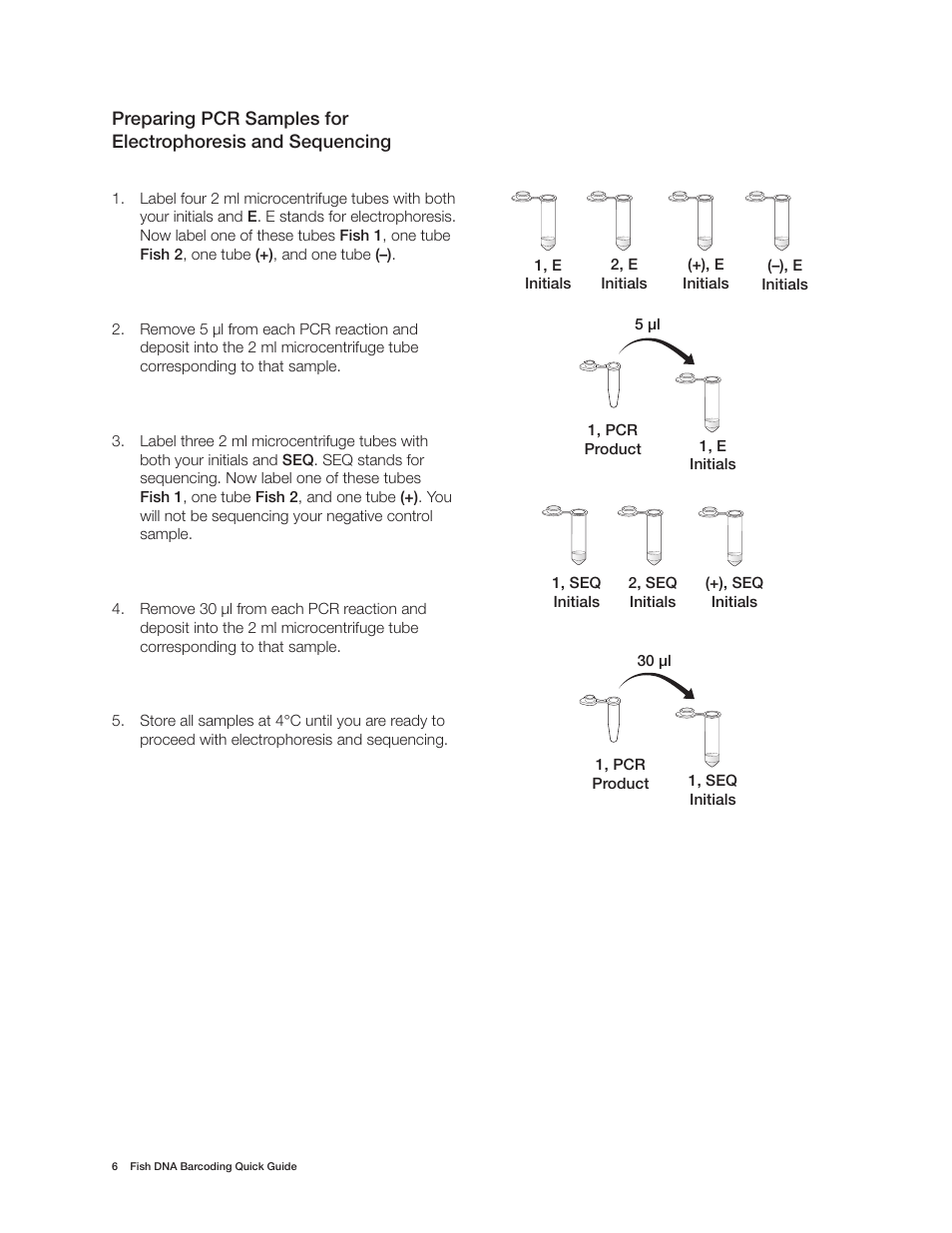 Bio-Rad Fish DNA Barcoding Kit User Manual | Page 8 / 12