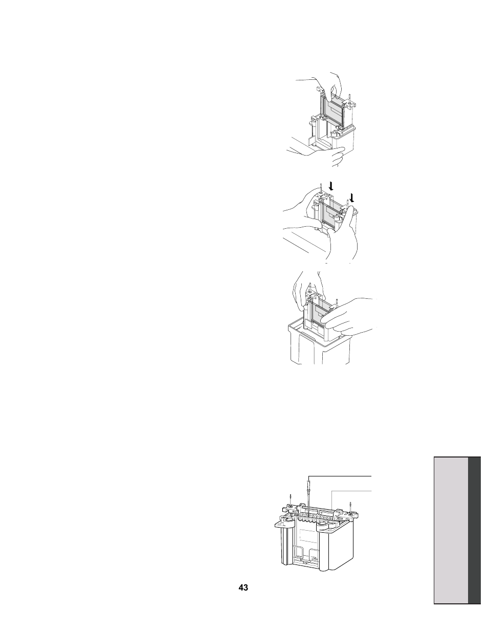 Quick guide | Bio-Rad Comparative Proteomics Kit I: Protein Profiler Module User Manual | Page 2 / 5