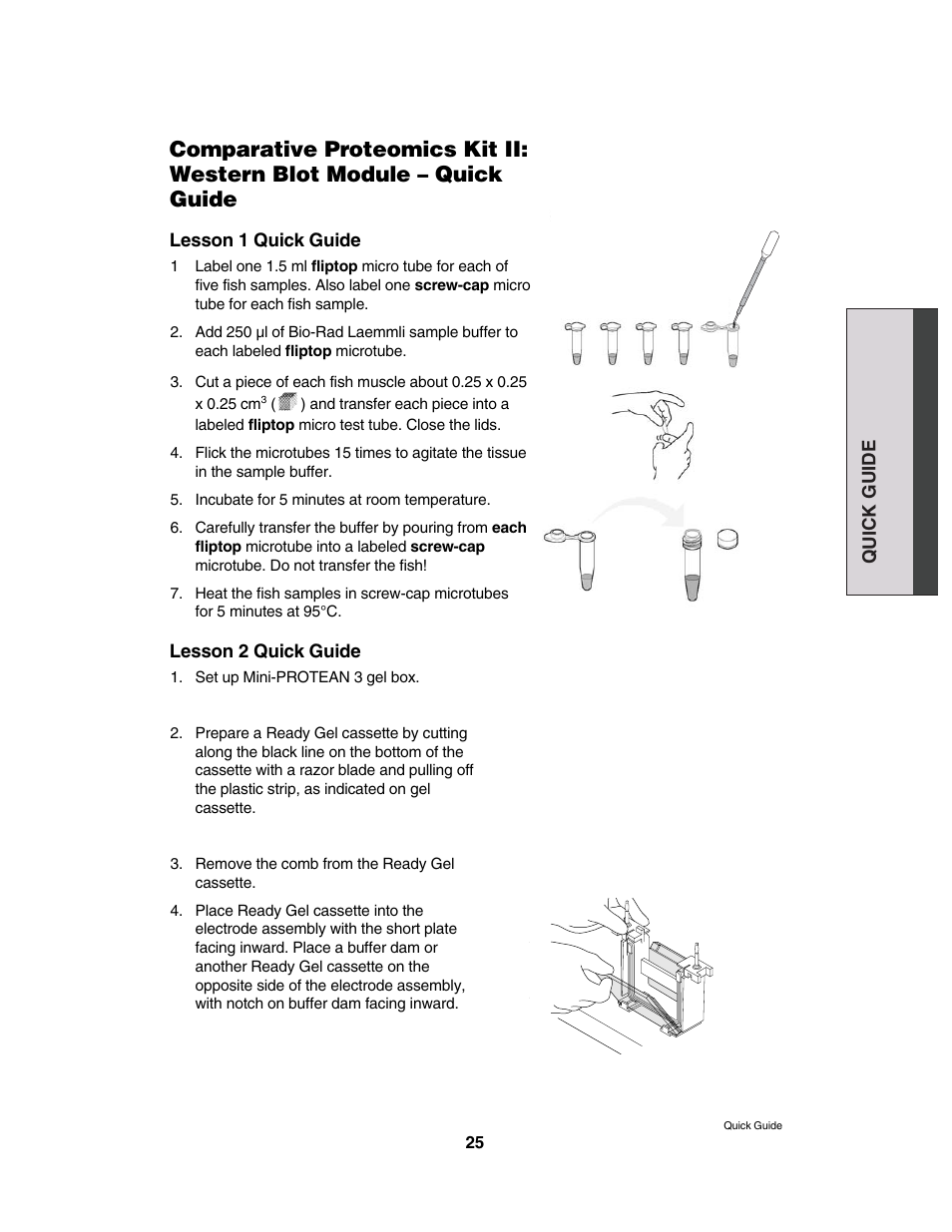 Bio-Rad Comparative Proteomics Kit II: Western Blot Module User Manual | 9 pages